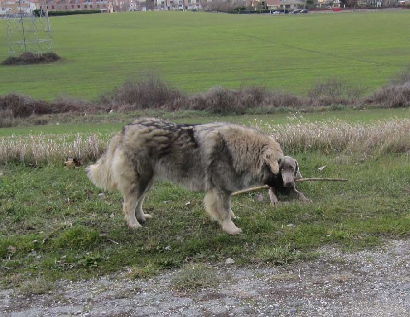 Publication : de Memorias de África Auteur : África de la Fuente