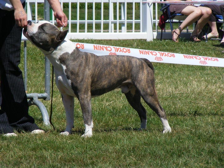 five'o 's Big kahuna - 3 eme Excellent