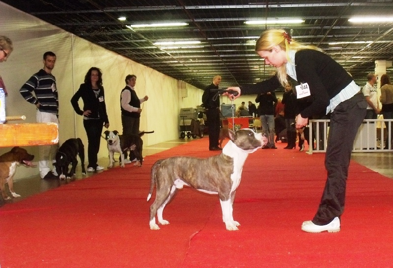 five'o 's Big kahuna - 2eme Excellent RCACS