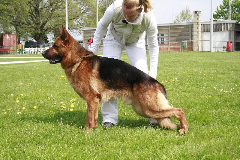 Publication : de la Presqu'Ile Guerandaise