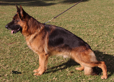 Publication : de Quezac