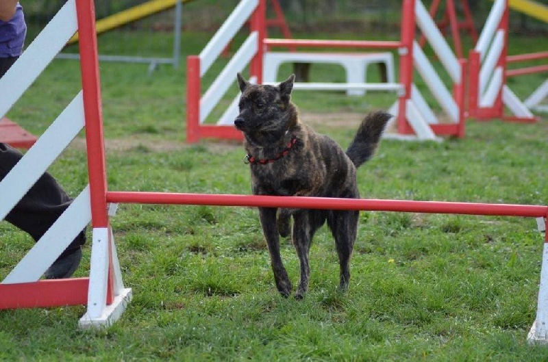 Publication : Huan Seha Sy-Phaa