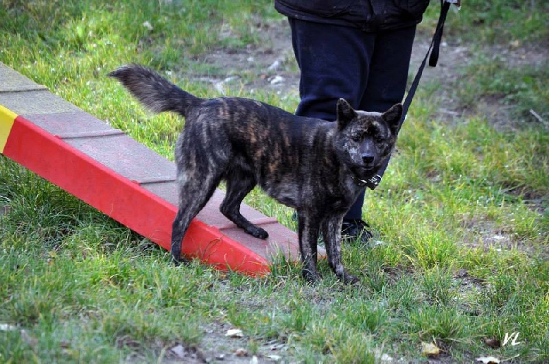 Publication : Huan Seha Sy-Phaa