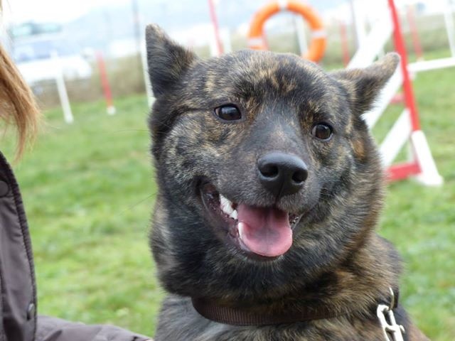 Publication : Huan Seha Sy-Phaa