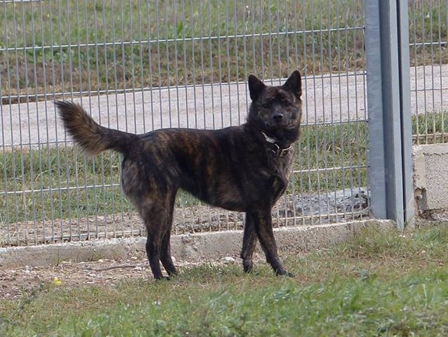 Publication : Huan Seha Sy-Phaa