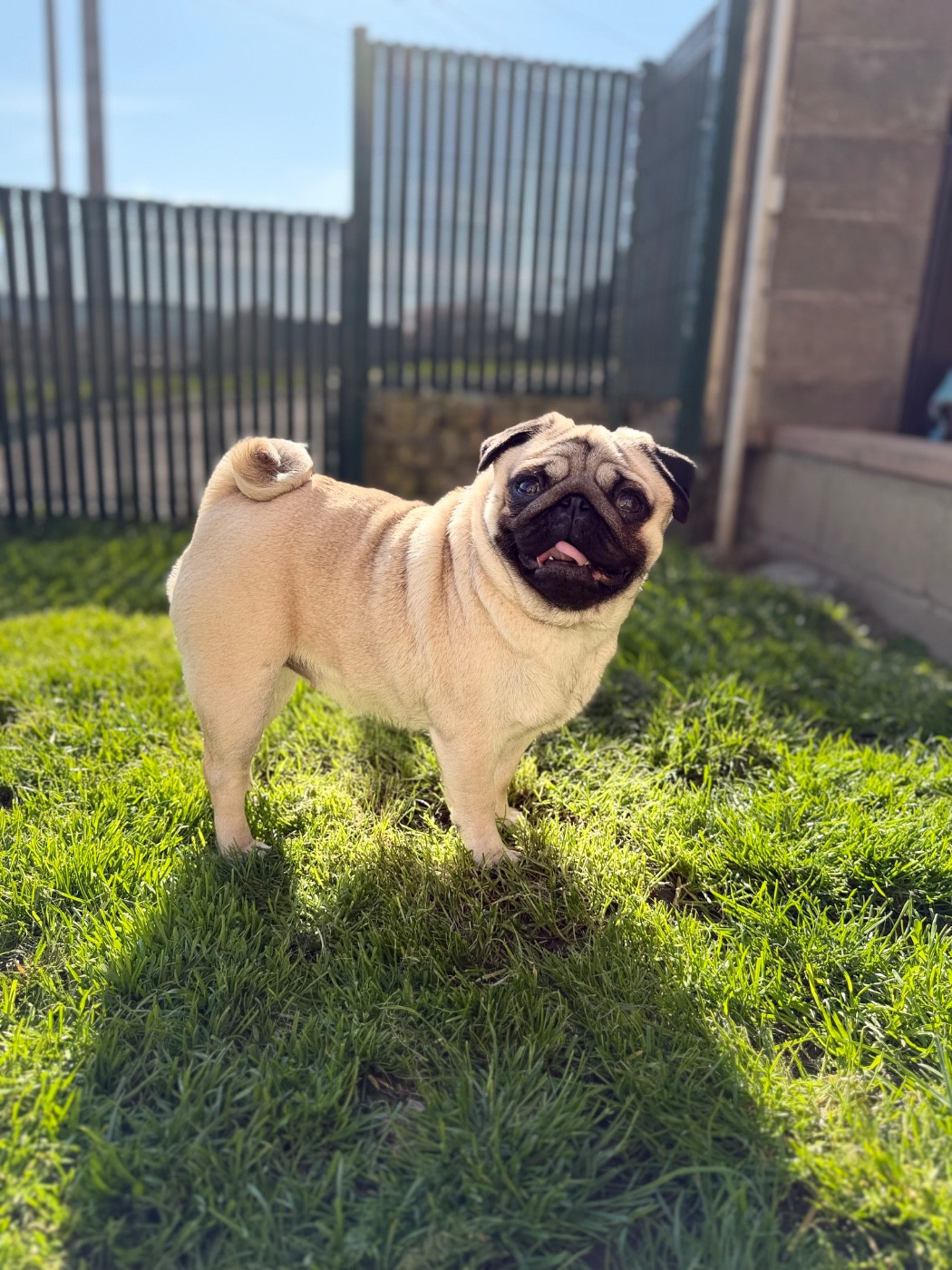 Very chic Du Val D'hermès