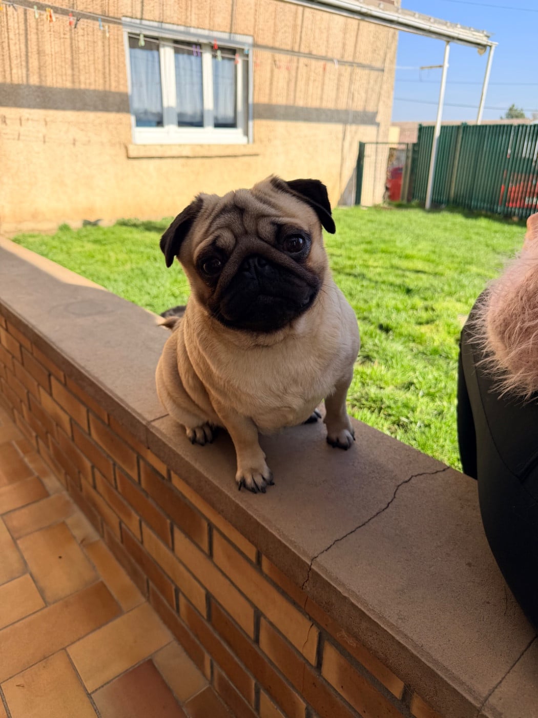 Very chic Du Val D'hermès