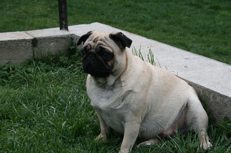 Publication : des Anges d'Héra