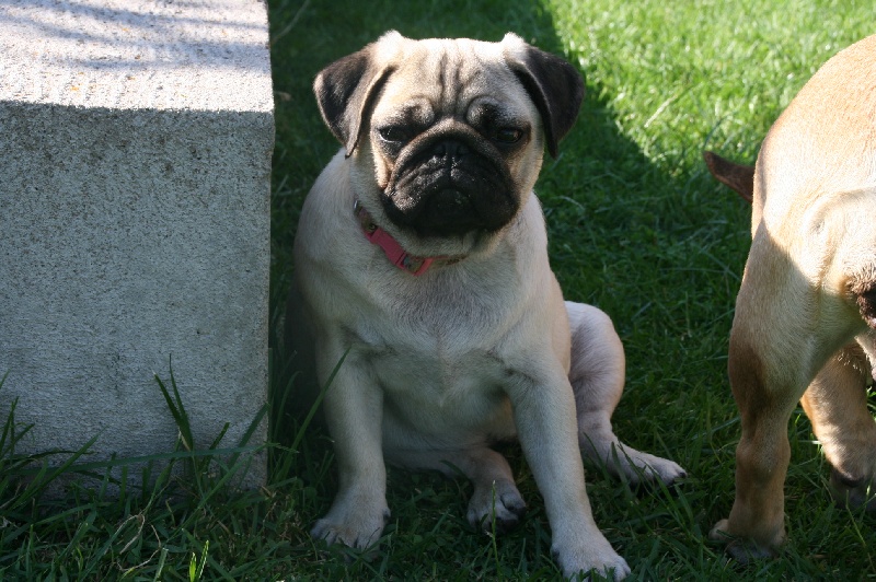 Publication : des Anges d'Héra