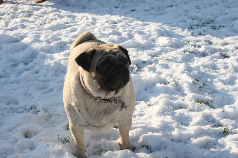 Publication : des Anges d'Héra