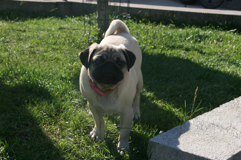 Publication : des Anges d'Héra