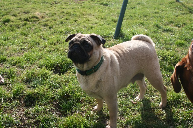 Publication : des Anges d'Héra