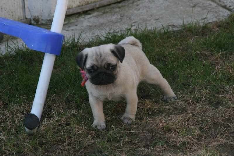 Publication : des Anges d'Héra