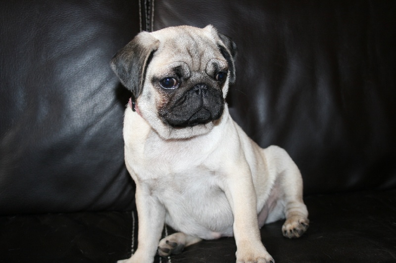 Publication : des Anges d'Héra