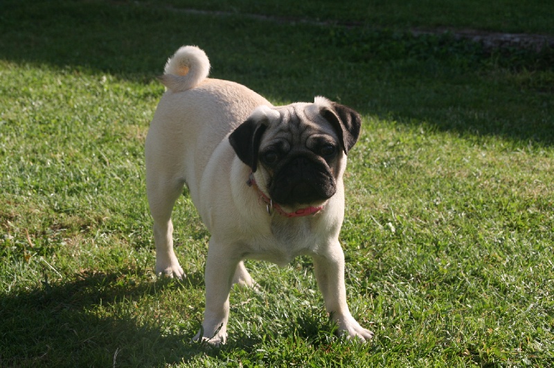 Publication : des Anges d'Héra