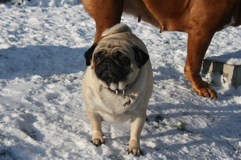 Publication : des Anges d'Héra