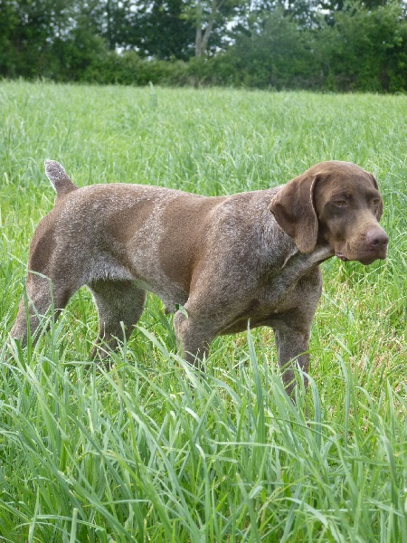 Publication : du Clos Moreau Auteur : Moreau Ludovic