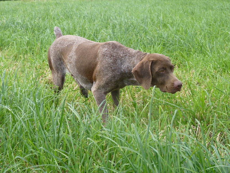 Publication : du Clos Moreau Auteur : Moreau Ludovic