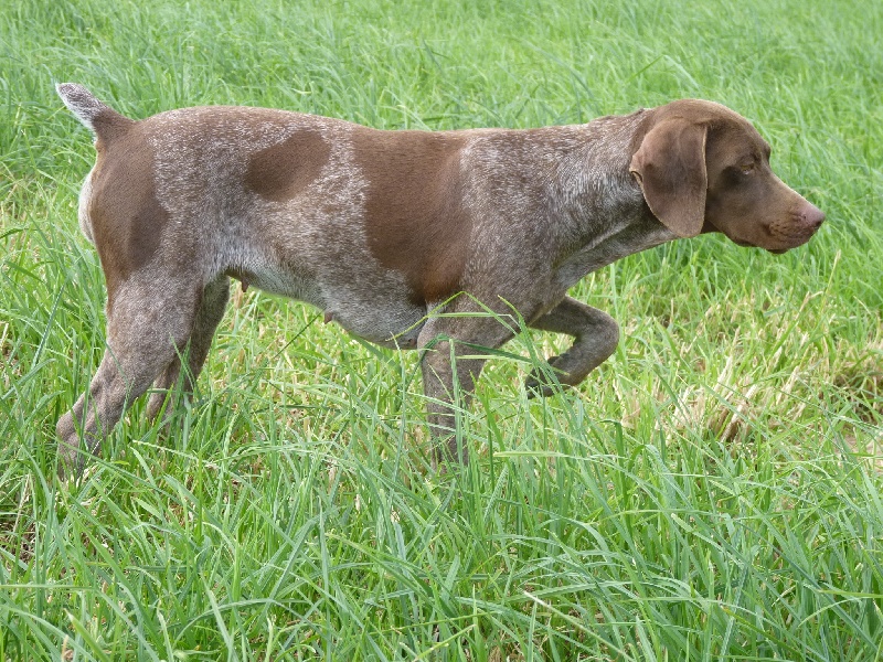 Publication : du Clos Moreau Auteur : Moreau Ludovic