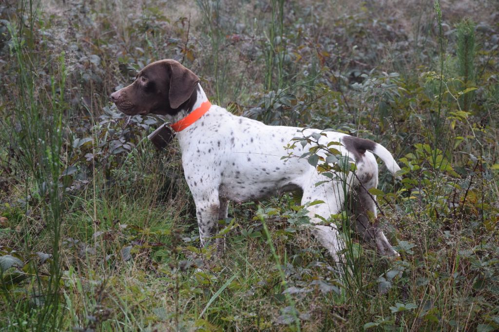 TR. Neige de Chantoizeau - Très bon