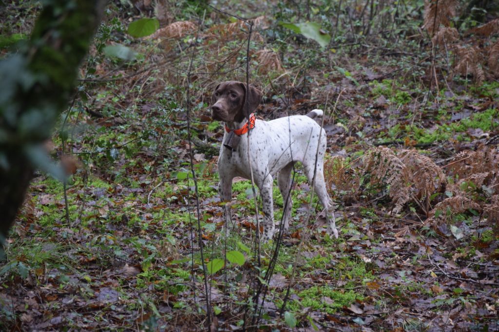 TR. Neige de Chantoizeau - 4°excellent