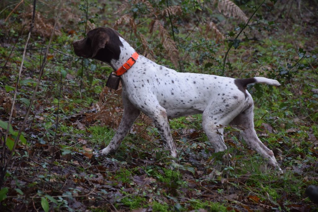 TR. Neige de Chantoizeau - 2°excellent