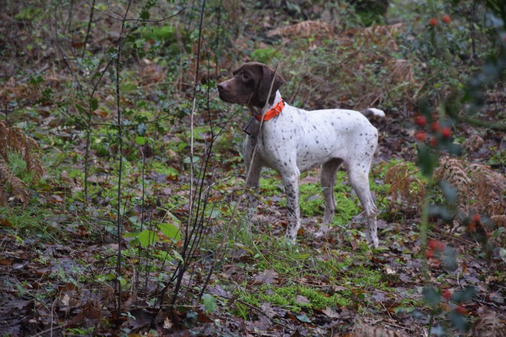 TR. Neige de Chantoizeau - 3°excellent