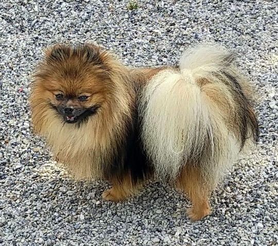 Publication : des Prairies aux Mille Fleurs