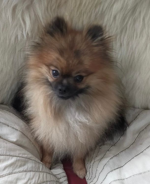 Publication : des Prairies aux Mille Fleurs