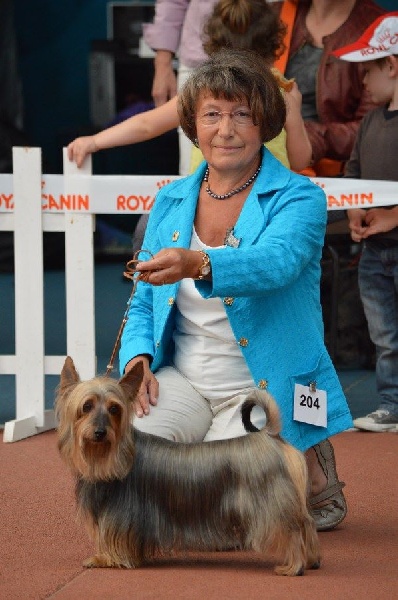 CH. Enjoy of Silky's Paradise - 1°Excellent Vétéran- Meilleur Vétéran de la Nationale d'Elevage