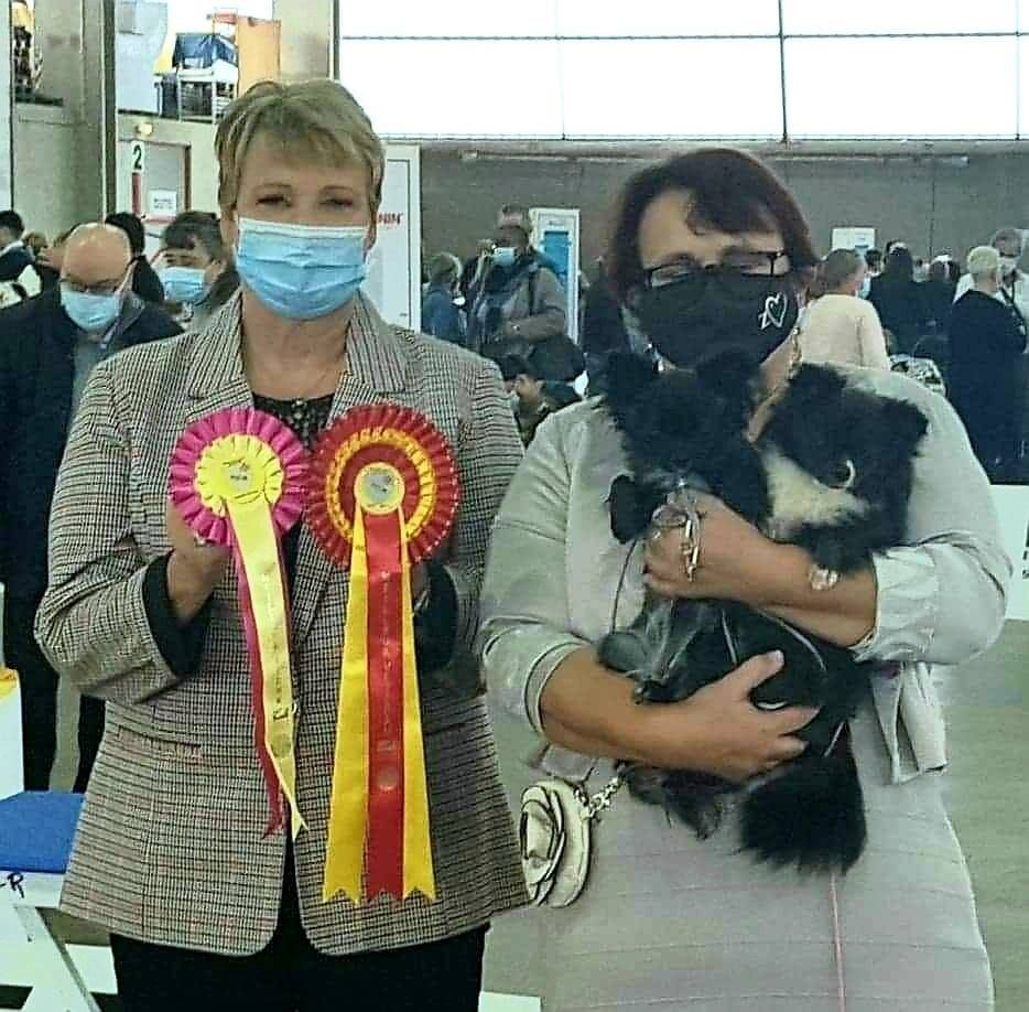 Perl'a nana des z'amours de la violette - 1er Excellent - MEILLEUR JEUNE