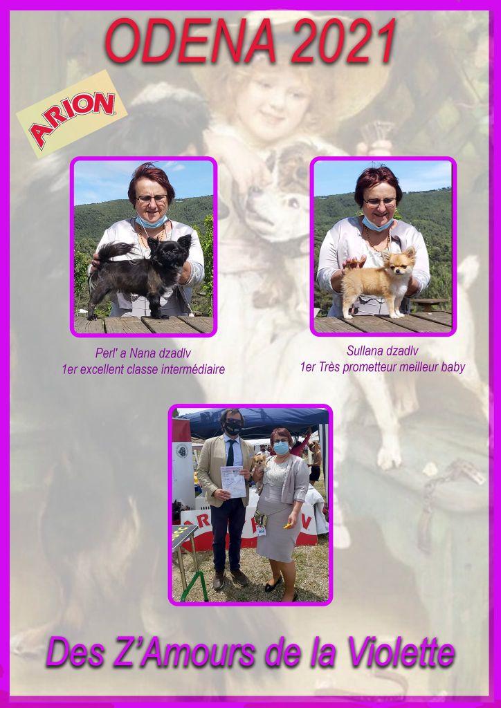 Perl'a nana des z'amours de la violette - 1er Excellent