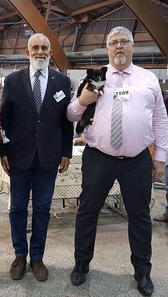 CH. cc usa Ma perle rare hemma - 2ème Excellent - Classe Champion