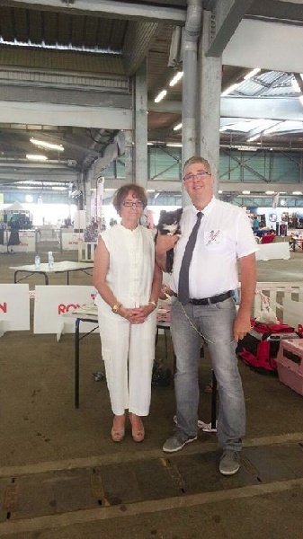 CH. cc usa Ma perle rare hemma - 1er Excellent CACS