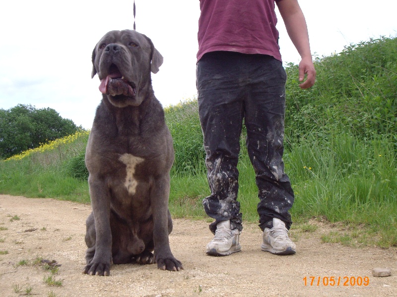 Publication : della Dea Vita Auteur : laetitia