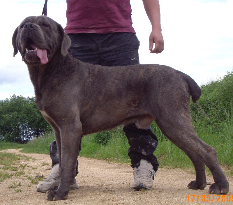 Publication : della Dea Vita Auteur : laetitia