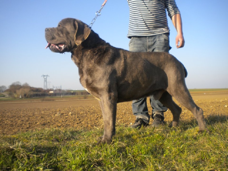 Publication : della Dea Vita Auteur : laetitia