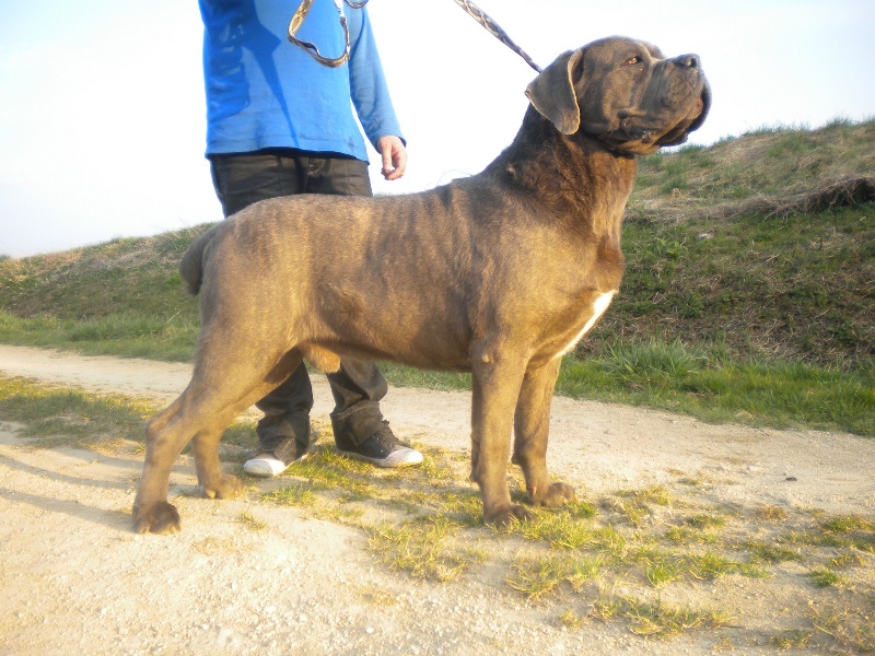 Publication : della Dea Vita Auteur : laetitia