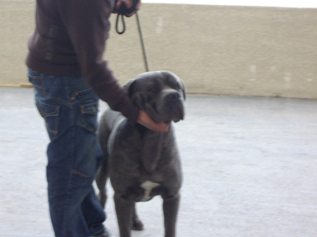 Publication : della Dea Vita Auteur : laetitia