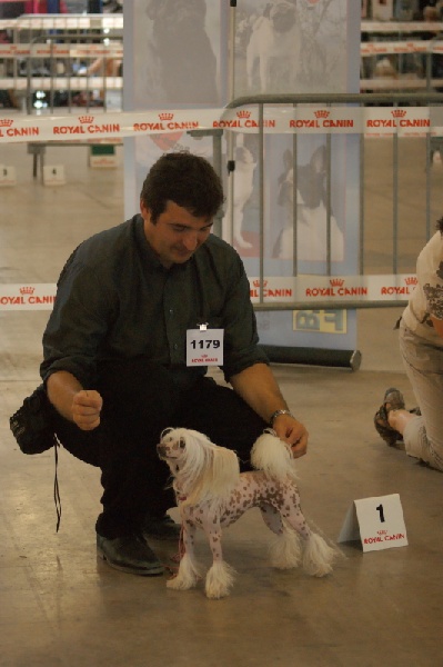 Publication : du domaine de Cha Su Bao Auteur : Laurette B.