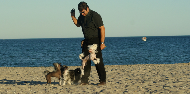 Publication : du domaine de Cha Su Bao Auteur : Laurette B.