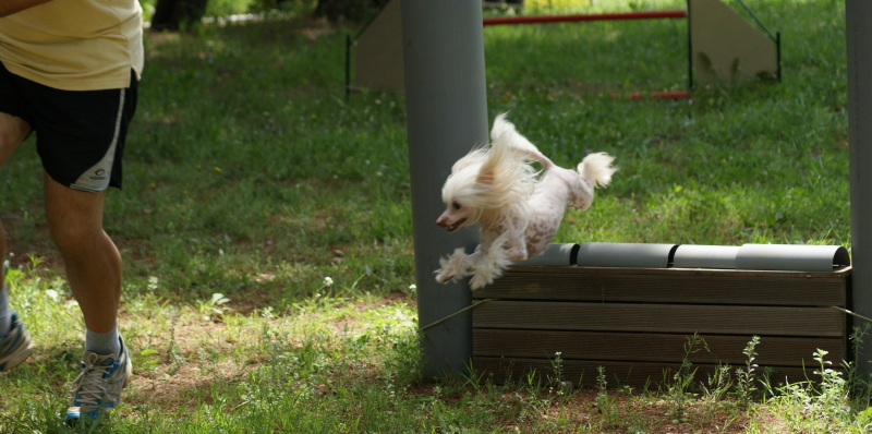 Publication : du domaine de Cha Su Bao Auteur : Laurette B.