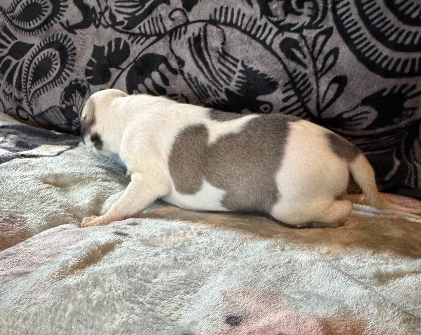 Be Hermes des pierres de jade