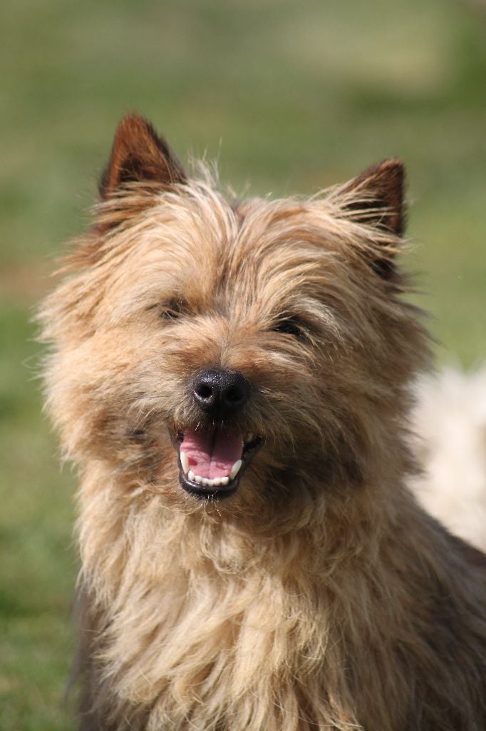 Publication : d'Isarudy Auteur : Maë Photographies