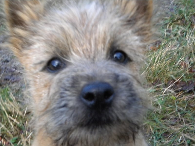 Publication : d'Isarudy Auteur : Maë Photographies