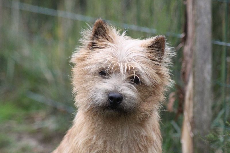 Publication : d'Isarudy Auteur : Maë Photographies