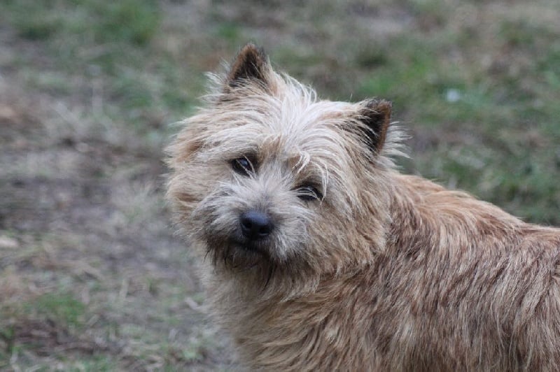 Publication : d'Isarudy Auteur : Maë Photographies