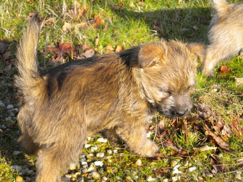 Publication : d'Isarudy Auteur : Maë Photographies