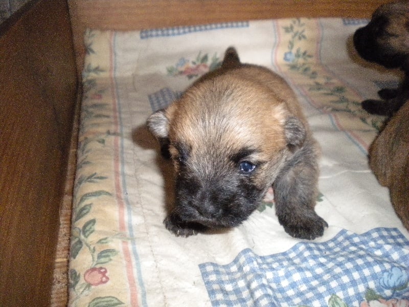 Publication : d'Isarudy Auteur : Maë Photographies