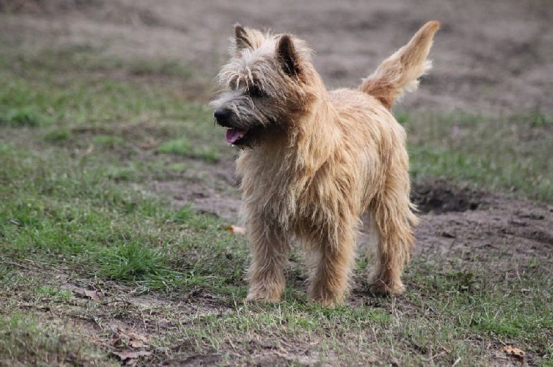 Publication : d'Isarudy Auteur : Maë Photographies